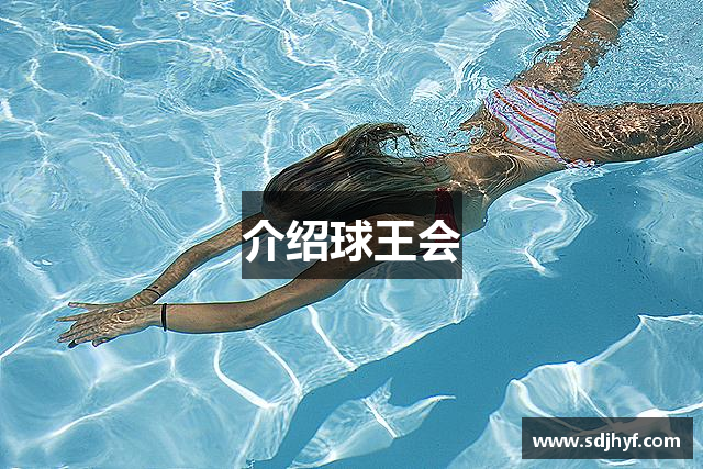 介绍球王会
